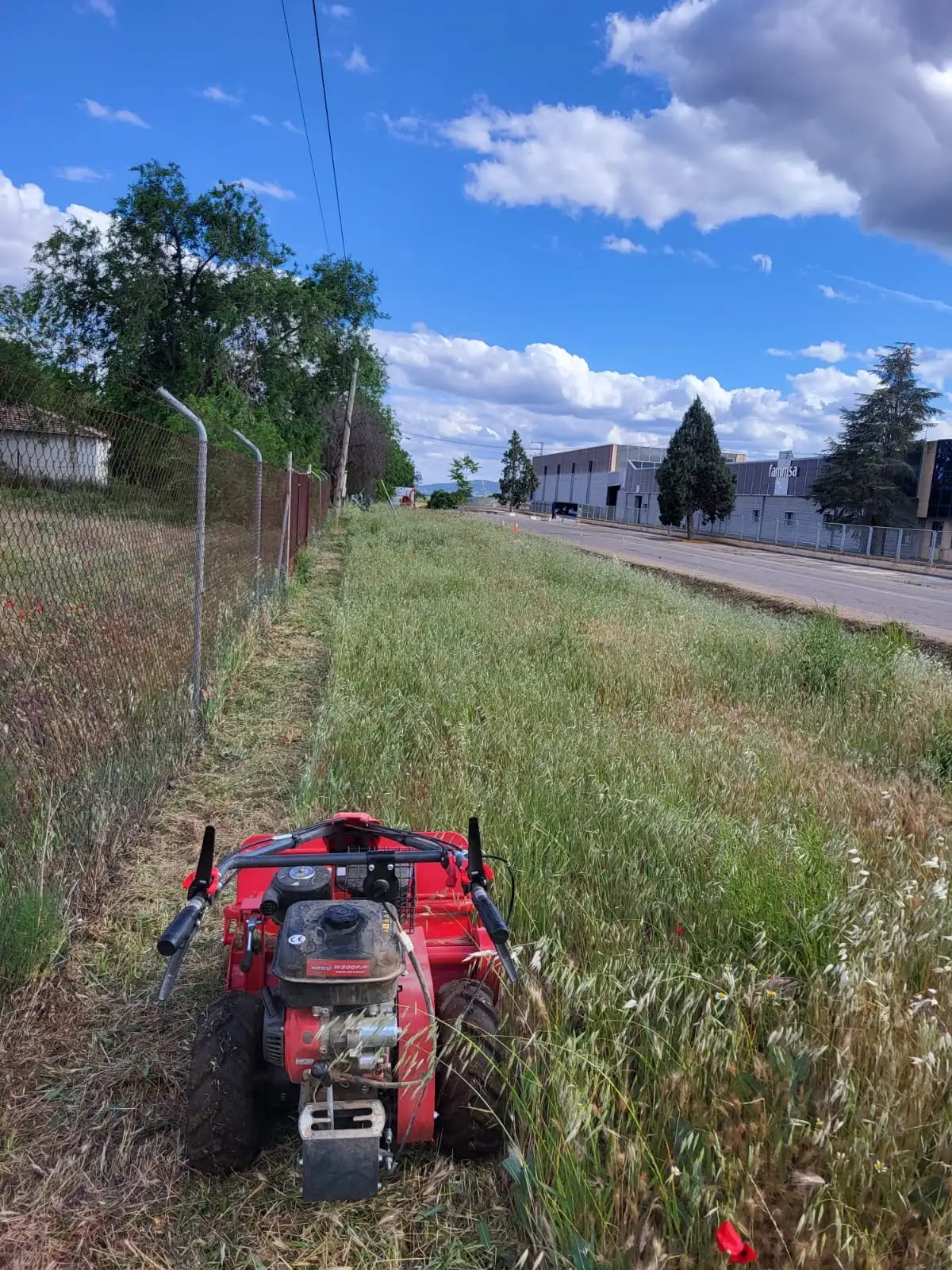Desbroce de cuneta y finca — foto 1