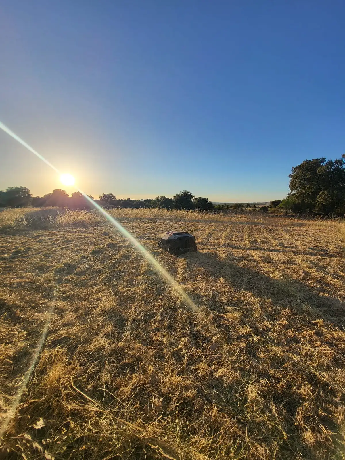 Desbroce de cuneta y finca — foto 3